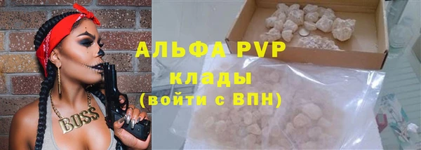 скорость Каменка