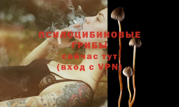 а пвп мука Каменногорск