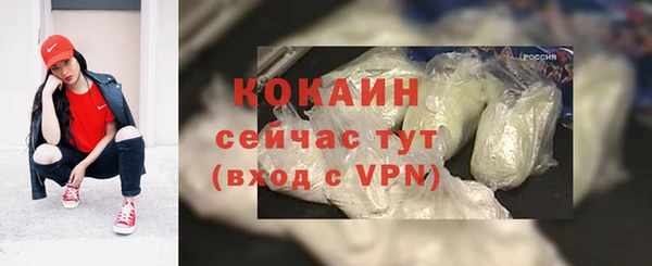 скорость Каменка
