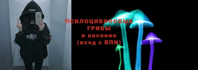 скорость Каменка