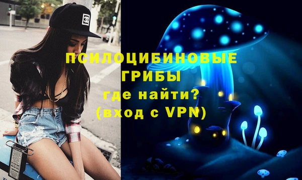 скорость Каменка