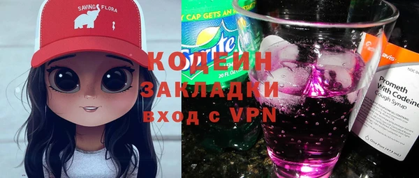 скорость Каменка