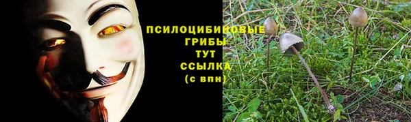 скорость Каменка