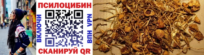 Купить где  Котельнич  Галлюциногенные грибы мицелий 